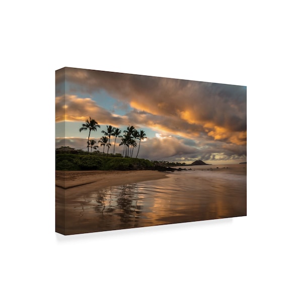 Pierre Leclerc 'Tropics Sunrise' Canvas Art,12x19